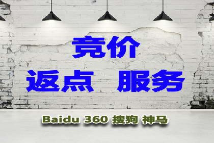 百度竞价广告投放实战案例分享